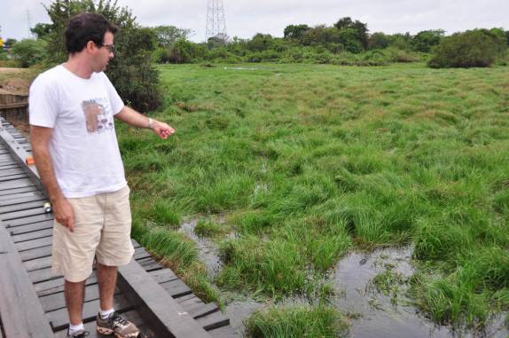 Observando jacarés ao longo da estrada-parque do Pantanal Sul, na região de Corumbá, no Mato Grosso do Sul